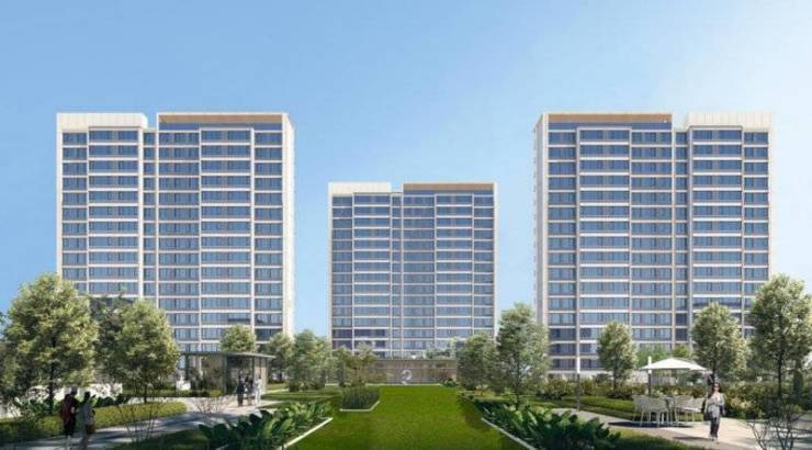 园【想了解合肥新楼盘买房加入买房群】尊龙凯时新版APP合肥皖投云启华章花