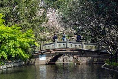 楼中心电线年楼盘百科→首页网站→楼盘测评→中心电线小时热线电话尊龙凯时ag旗舰厅网站万科中兴傲舍售楼处电话→万科中兴傲舍售(图37)